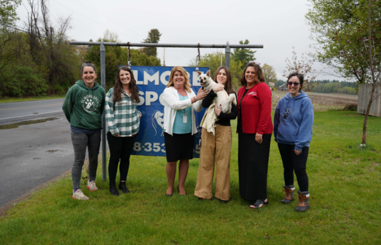 Animal Shelter Donations
