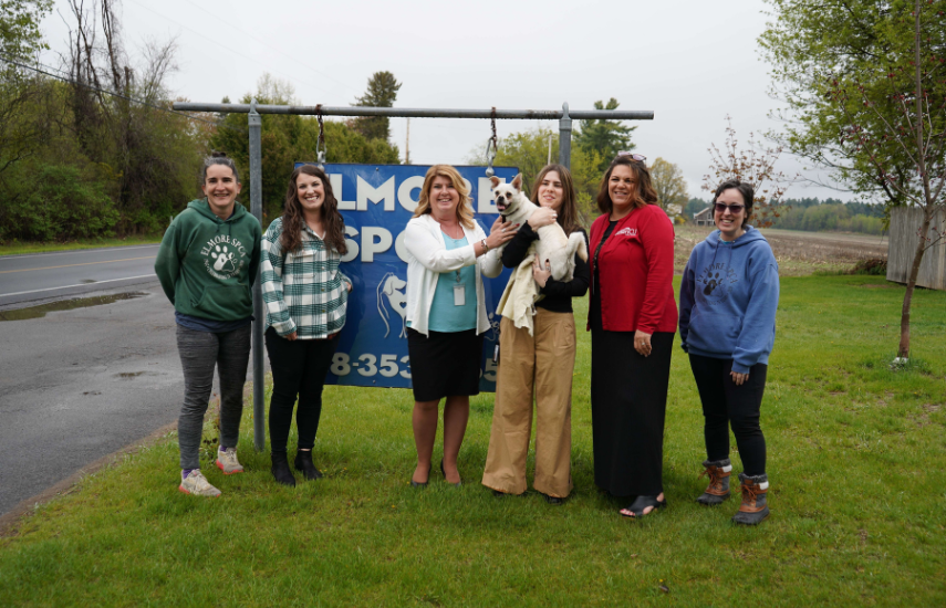 Animal Shelter Donations